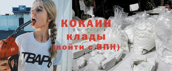 крисы Алзамай