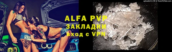 крисы Алзамай