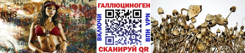 Псилоцибиновые грибы MAGIC MUSHROOMS  блэк спрут маркетплейс  Омск 