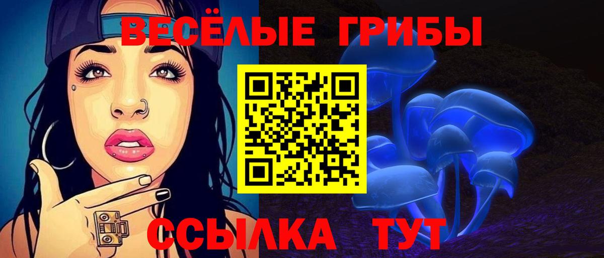 Галлюциногенные грибы Psilocybe  Вход с VPN  как найти закладки  Омск 